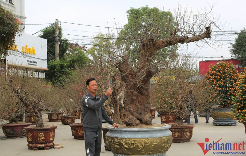 Dao co thu gia khung gan 100 trieu o Thanh Hoa