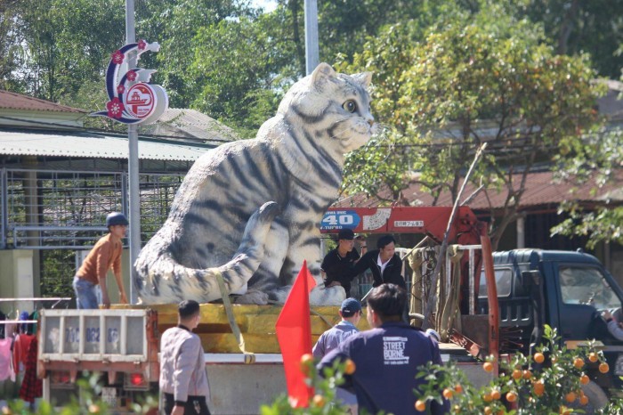 Meo “hoang hau” o Quang Tri dep the nao ma dan doi nang cho xem-Hinh-5