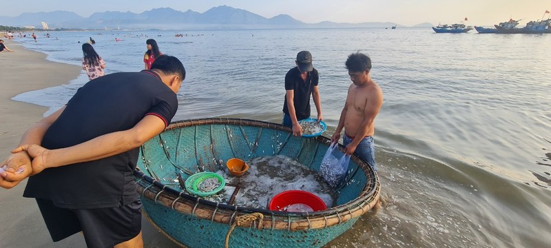 Ngư dân Đà Nẵng kiếm tiền triệu nhờ trúng đậm cá cơm, cá trích - Hình 4 Ngu dan Da Nang kiem tien trieu nho trung dam ca com, ca trich-Hinh-4
