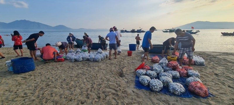 Ngư dân Đà Nẵng kiếm tiền triệu nhờ trúng đậm cá cơm, cá trích - Hình 6 Ngu dan Da Nang kiem tien trieu nho trung dam ca com, ca trich-Hinh-6