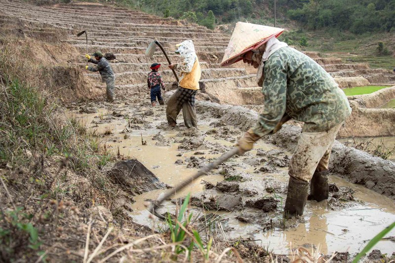 Ruong bac thang Tu Mo Rong dep lung linh mua nuoc do-Hinh-3