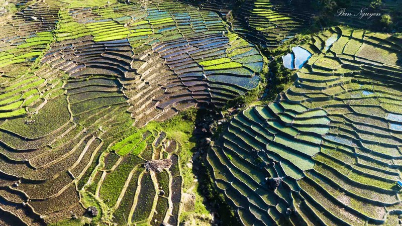 Ruong bac thang Tu Mo Rong dep lung linh mua nuoc do