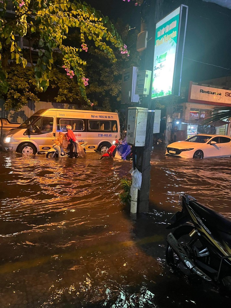 Da Nang: Mua to dau mua, pho bien thanh song-Hinh-10