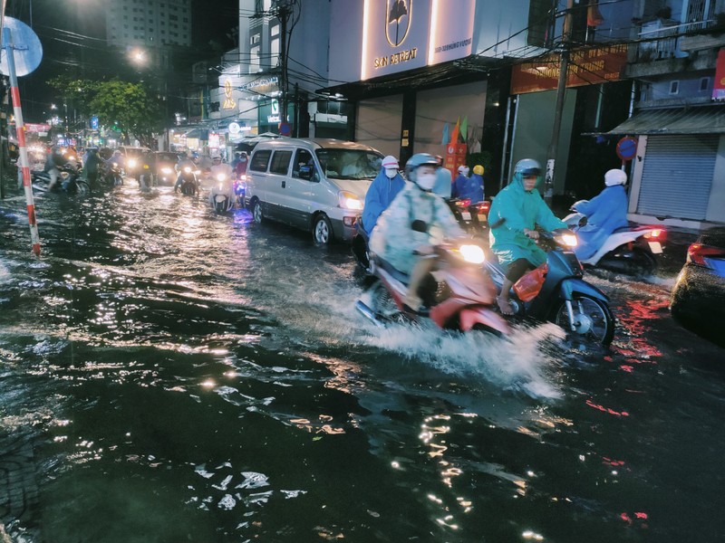 Da Nang: Mua to dau mua, pho bien thanh song-Hinh-7