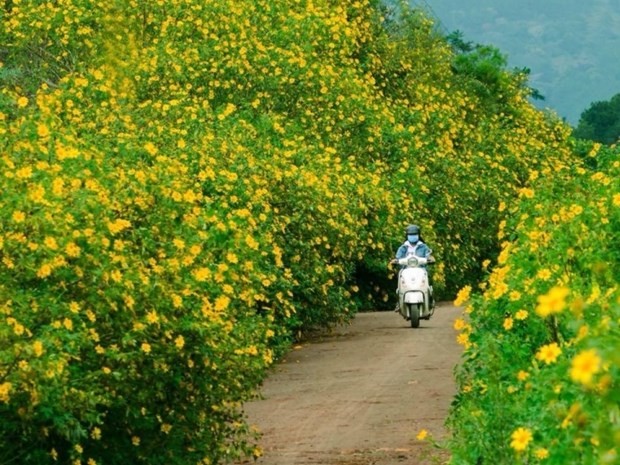 Song cham de kham pha ve dep cua mua dep nhat nam-Hinh-4