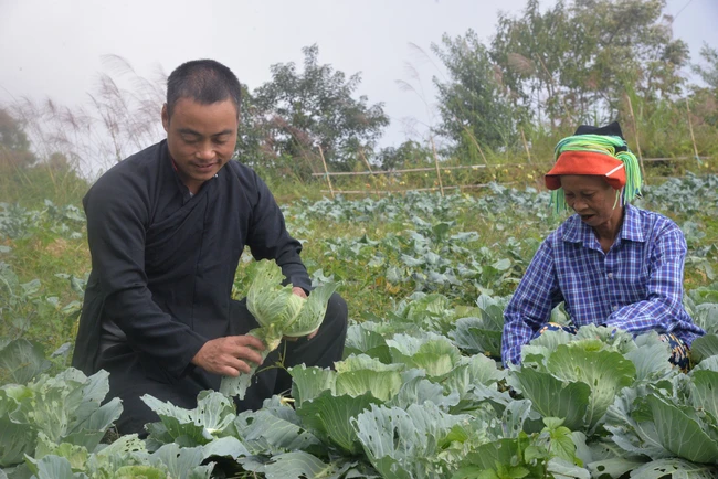 Mot nong dan o Ha Giang het ngheo nho mo hinh kinh te tong hop