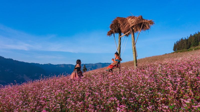 Den Ha Giang, ngam cao nguyen da no hoa mua tam giac mach-Hinh-4