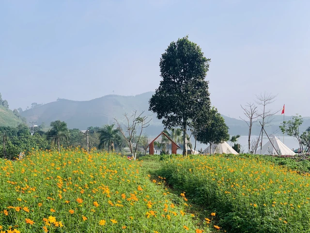 Dia diem choi Tet Duong lich tuyet dep noi mien Tay xu Nghe-Hinh-2