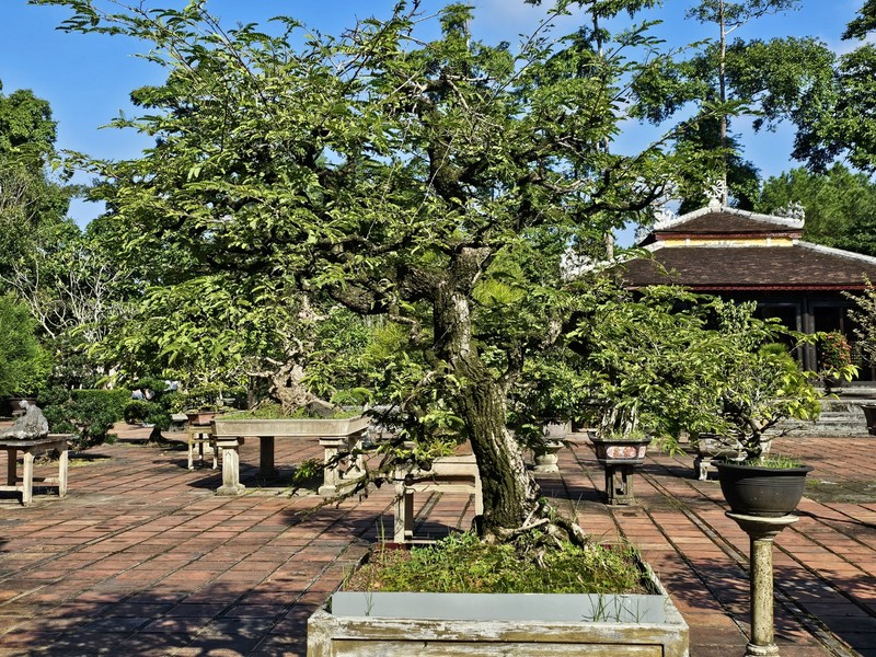 Ngam do thi di san Hue tu “de nhat co tu” linh thieng-Hinh-5