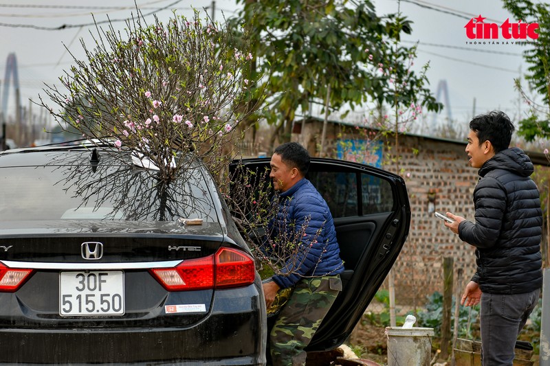 Ha Noi: Sac dao nhuom tham bai song Hong-Hinh-4