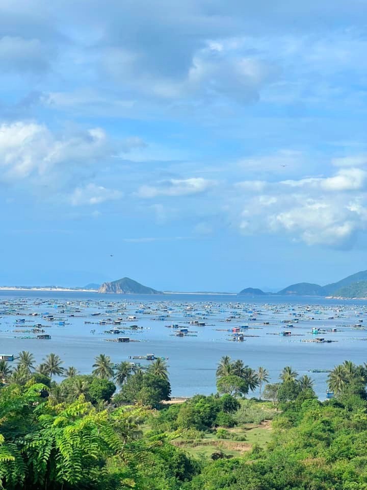 Vi sao khong toi Phu Yen - Quy Nhon som hon?-Hinh-12