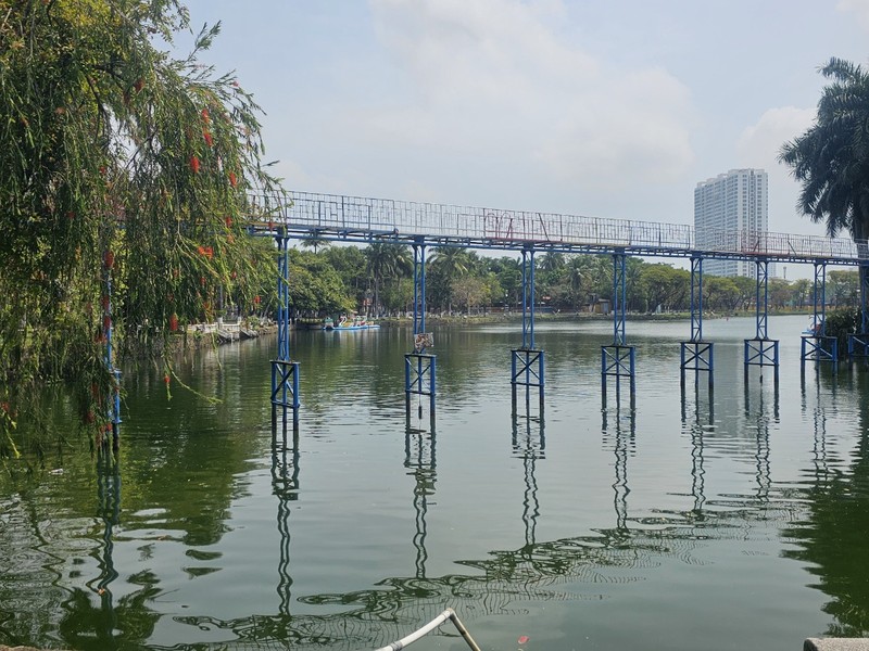 Nao vet ho lon nhat Da Nang, bun chua biet do di dau-Hinh-3