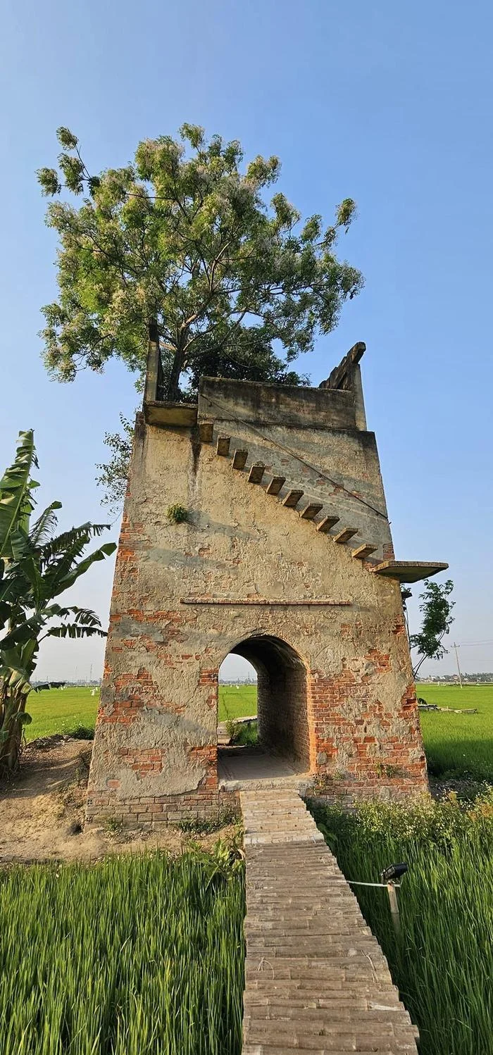 Lo gach bo hoang o Hoi An- diem check-in chua bao gio het hot-Hinh-4