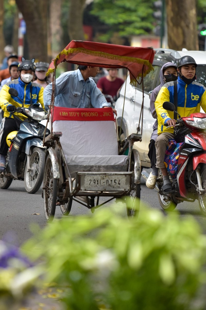 Hoa loa ken tinh khoi mang toi nhung khoanh khac diu dang-Hinh-11