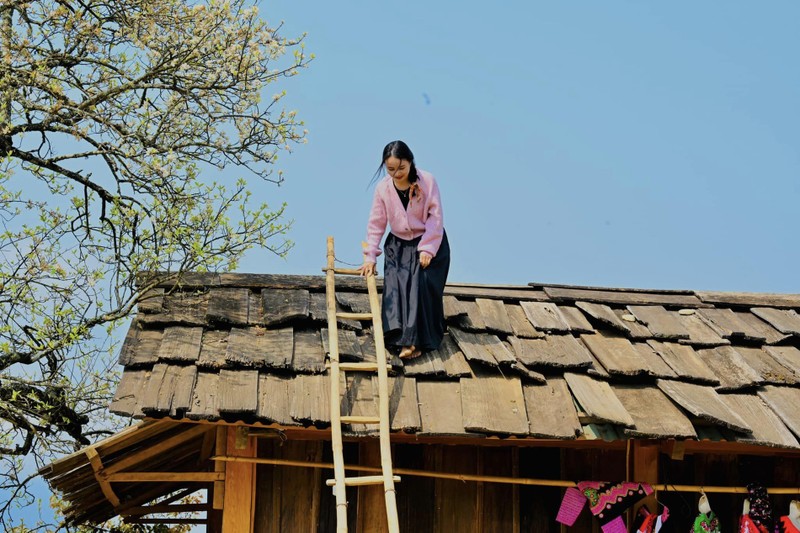 Trai nghiem mua hoa tuyet dep o “thu phu” cua hoa son tra-Hinh-5