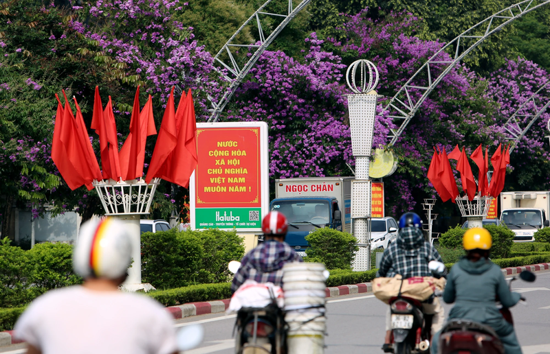 Gioi tre Thanh Hoa me man check-in voi hoa bang lang tim no ro-Hinh-13