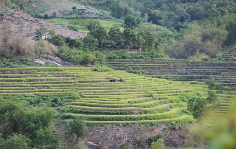 Chiem nguong nhung thua ruong bac thang tuyet dep xu Thanh-Hinh-2