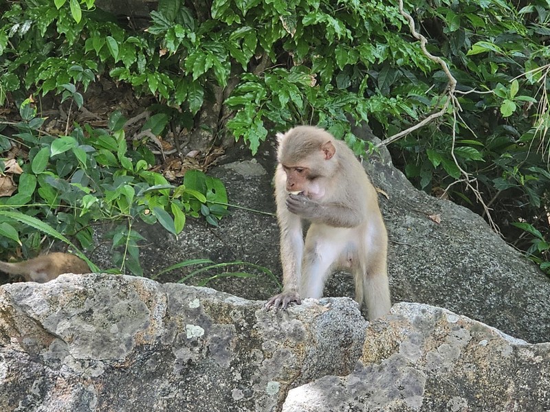 Bai Cat Vang - Thien duong bien hoang so duoi chan nui Khi-Hinh-14