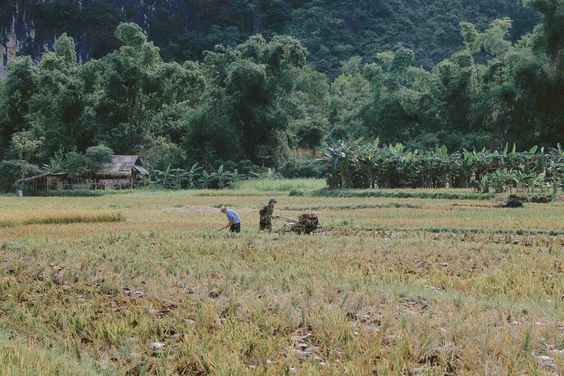 Lang co hon 700 tuoi o Hoa Binh hut khach boi ve binh yen-Hinh-5