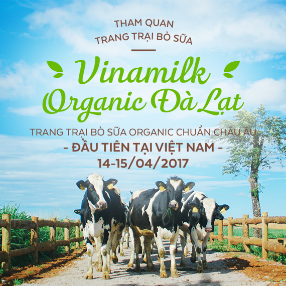 15 gia dinh chuan bi cho hanh trinh Vinamilk Organic Farm Tour