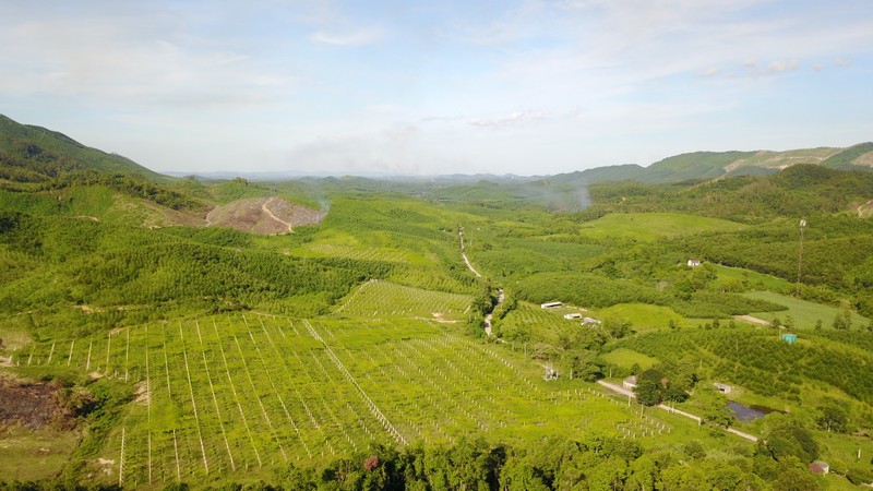 Bi quyet song khoe va hanh phuc cau tra loi tu thao duoc thien nhien