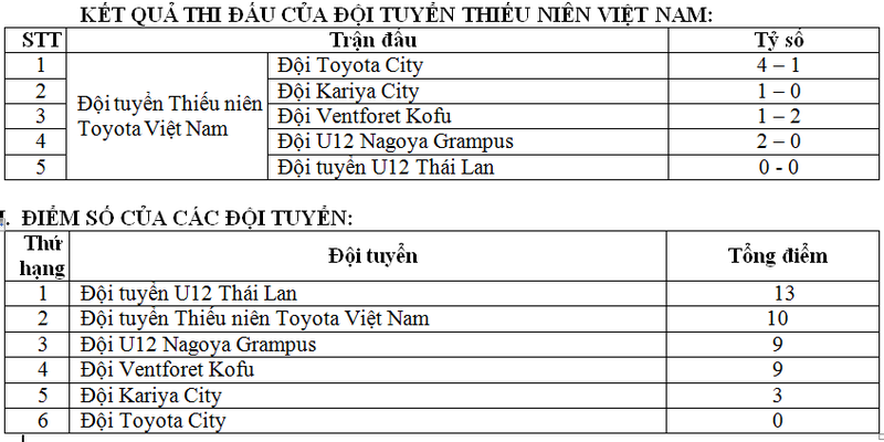 An tuong Trai he Bong da Thieu nien Toyota 2017-Hinh-4