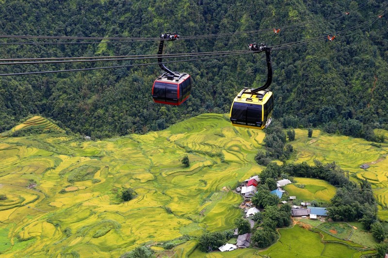 Chiem nguong ve dep hut hon cua thung lung Muong Hoa mua lua chin-Hinh-2