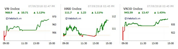 VNM va ngan hang dan song, VN-Index tang gan 11 diem