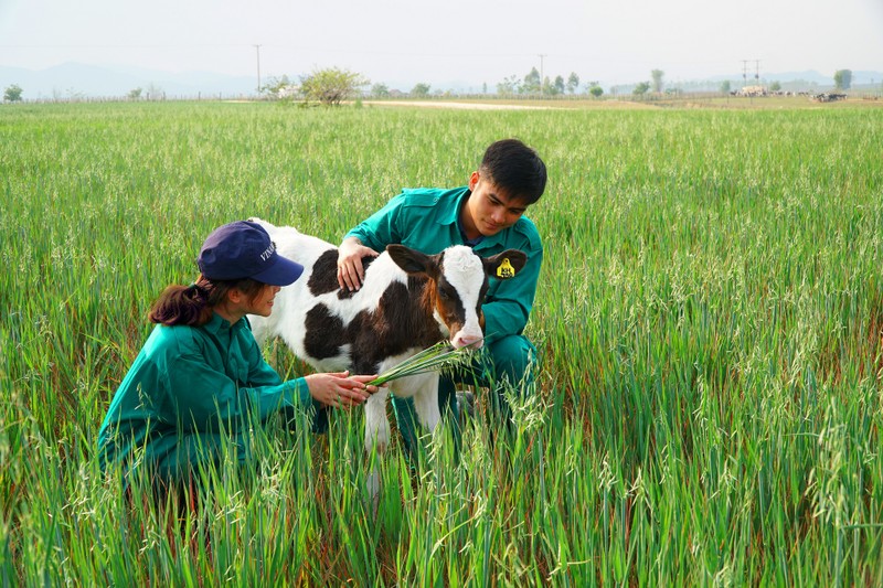 Vinamillk cung Lao va Nhat xay dung “Resort” bo sua Organic-Hinh-7