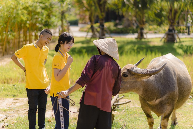 Thieu nhi Quoc te hao huc kham pha Vinpearl Nam Hoi An-Hinh-5