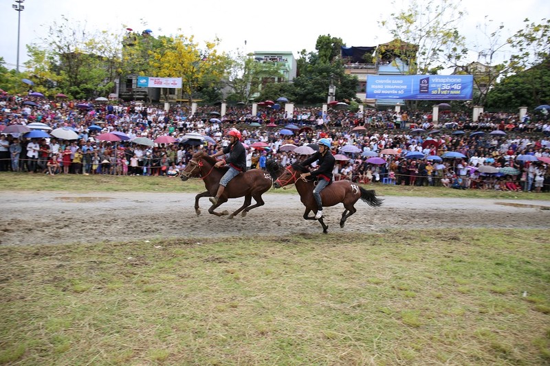 Lan dau to chuc le hoi dua ngua truyen thong vung cao tai Fansipan-Hinh-2