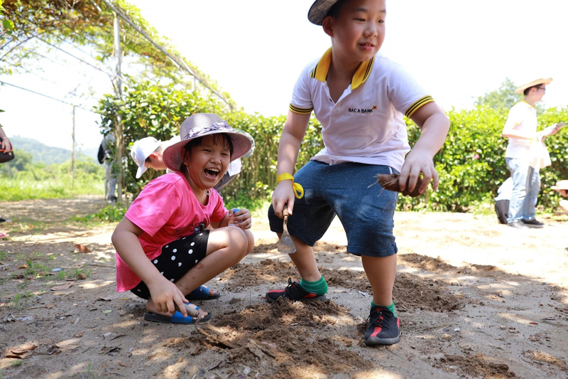 Tiet hoc mo uoc cua hoc sinh khuyet tat Thuy An-Hinh-3