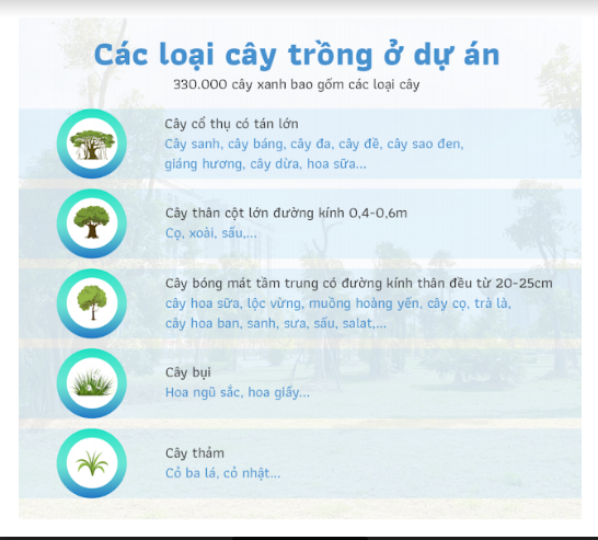 Ben trong khu do thi “phu xanh” giua long Ha Noi-Hinh-5