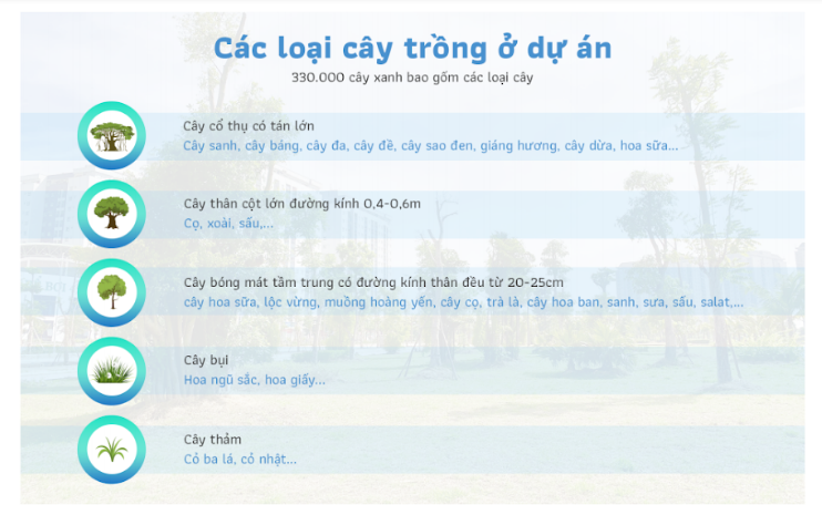 Ben trong khu do thi “phu xanh” giua long Ha Noi-Hinh-6