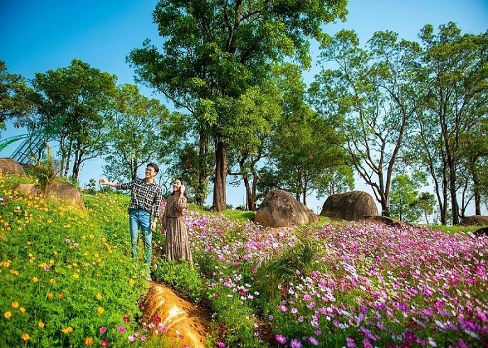 Chuyen chua ke ve nhung khong gian xanh tren nui-Hinh-3