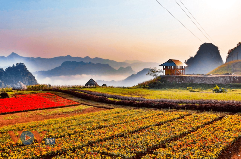 Ha Giang - Yen Bai thuc day trong diem kinh te lien tuyet Tay Bac-Hinh-4