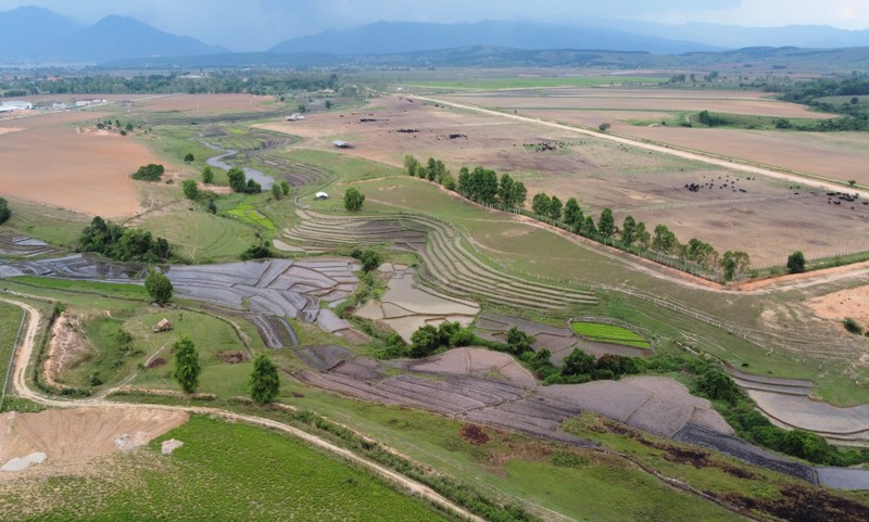 To hop trang trai tai Lao cua Vinamilk day nhanh tien do hoan thanh giai doan 1-Hinh-3