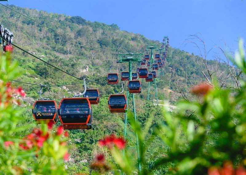 Ngam hoa tulip lan dau khoe sac tren dinh nui Ba Den Tay Ninh-Hinh-2