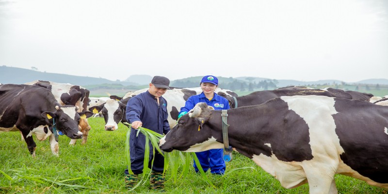 Kham pha to hop Thien duong sua Vinamilk va Moc Chau Milk vua khoi cong-Hinh-4