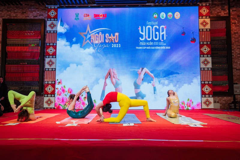 500 nguoi dong dien Yoga chao mat troi tai Fansipan-Hinh-10