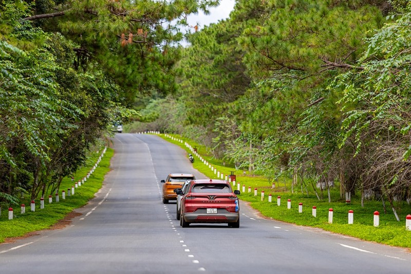 Xuyen Viet gan 4.000 km, chu xe dien danh gia chi phi nhien lieu “qua re”-Hinh-7