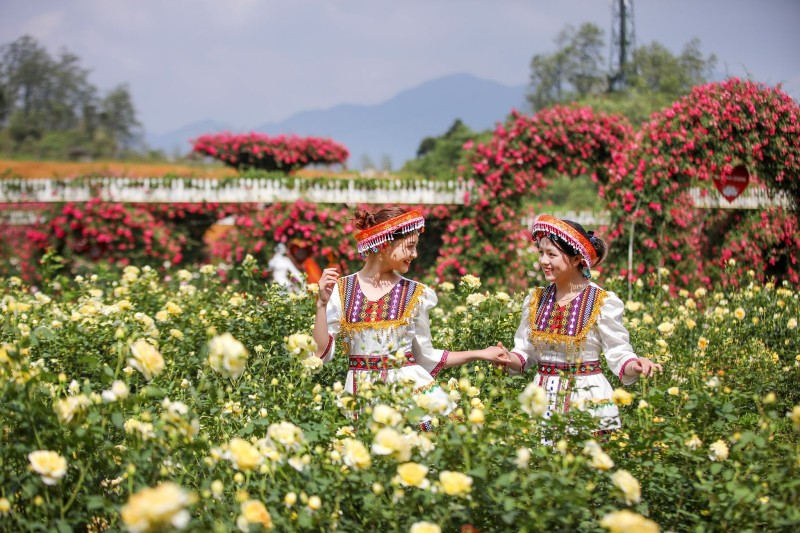 Du lich Fansipan mua hoa do quyen va le hoi hoa hong-Hinh-4