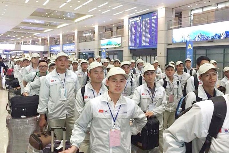 Canh bao chieu tro tinh vi lua dao xuat khau lao dong Han Quoc