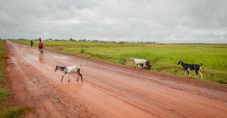 Thoi tiet ngay 13/10: Mien Nam van mua lon