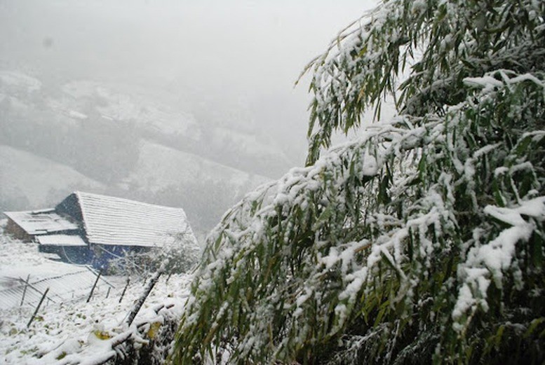 Thoi tiet ngay 15/12: Bac Bo va Bac Trung Bo troi ret dam, co mua