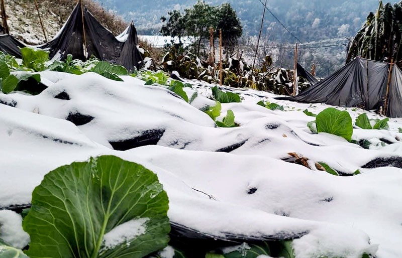 Thoi tiet ngay 27/12: Mien Bac co noi ret dam ret hai