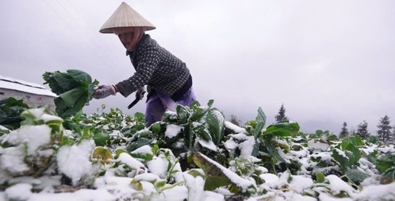 Thoi tiet ngay 31/12: Mien Bac co noi ret dam ret hai