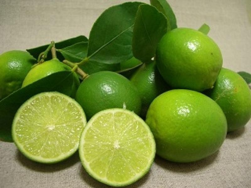 Nhỏ nước cốt chanh vào mắt có thể gây hậu quả nghiêm trọng Nho nuoc cot chanh vao mat co the gay hau qua nghiem trong