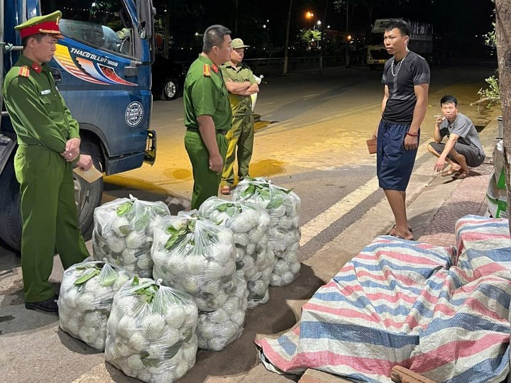 Sơn La phát hiện hơn 300kg rau, củ, quả nhiễm hóa chất độc hại Son La phat hien hon 300kg rau, cu, qua nhiem hoa chat doc hai