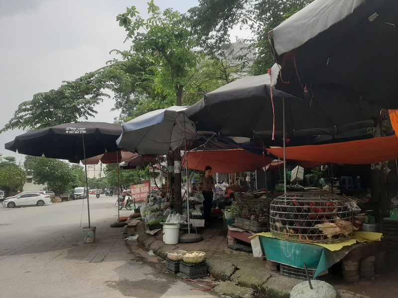 Ha Noi: Canh nhech nhac tai nhieu tuyen pho o quan Ha Dong-Hinh-8